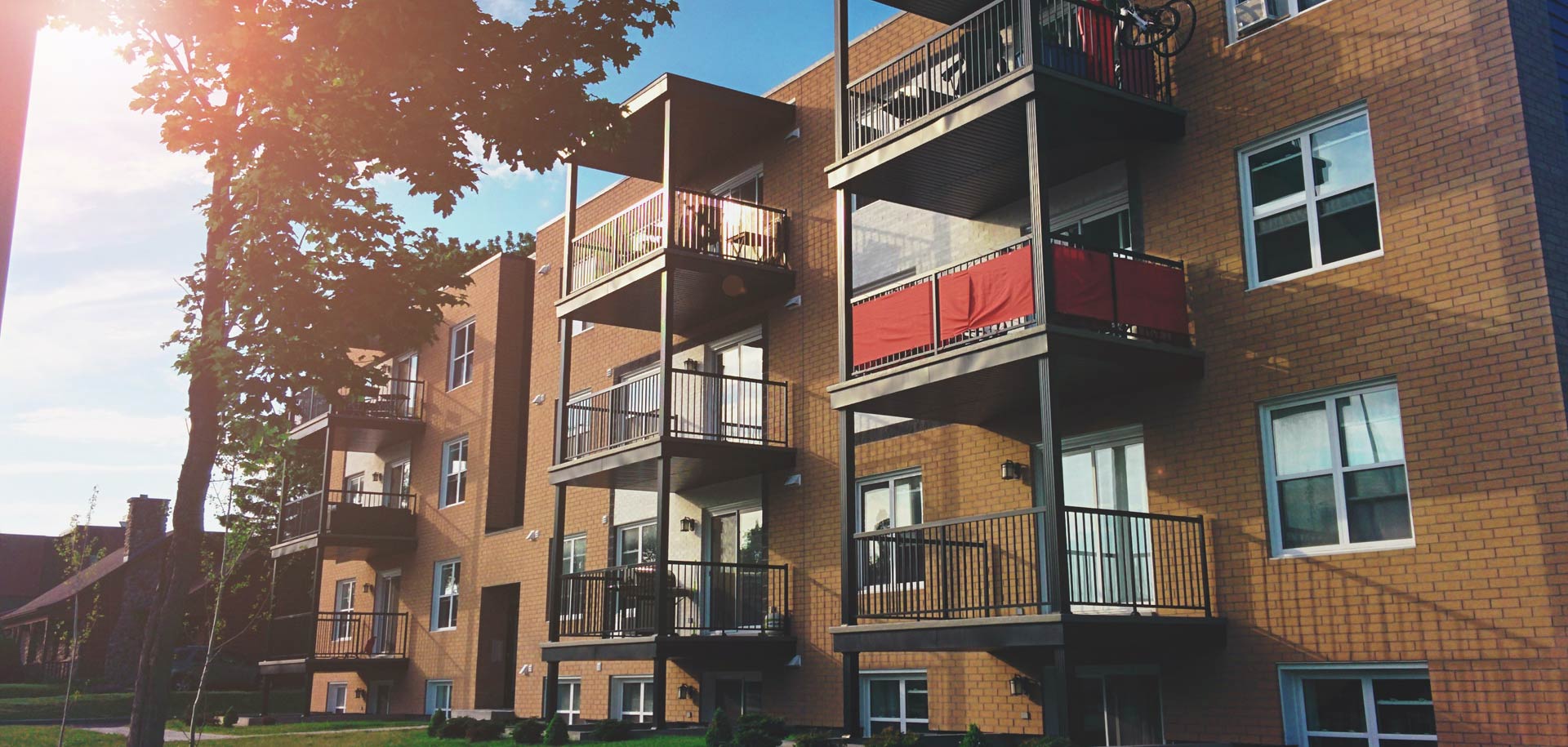 bg-revslider-home2-01