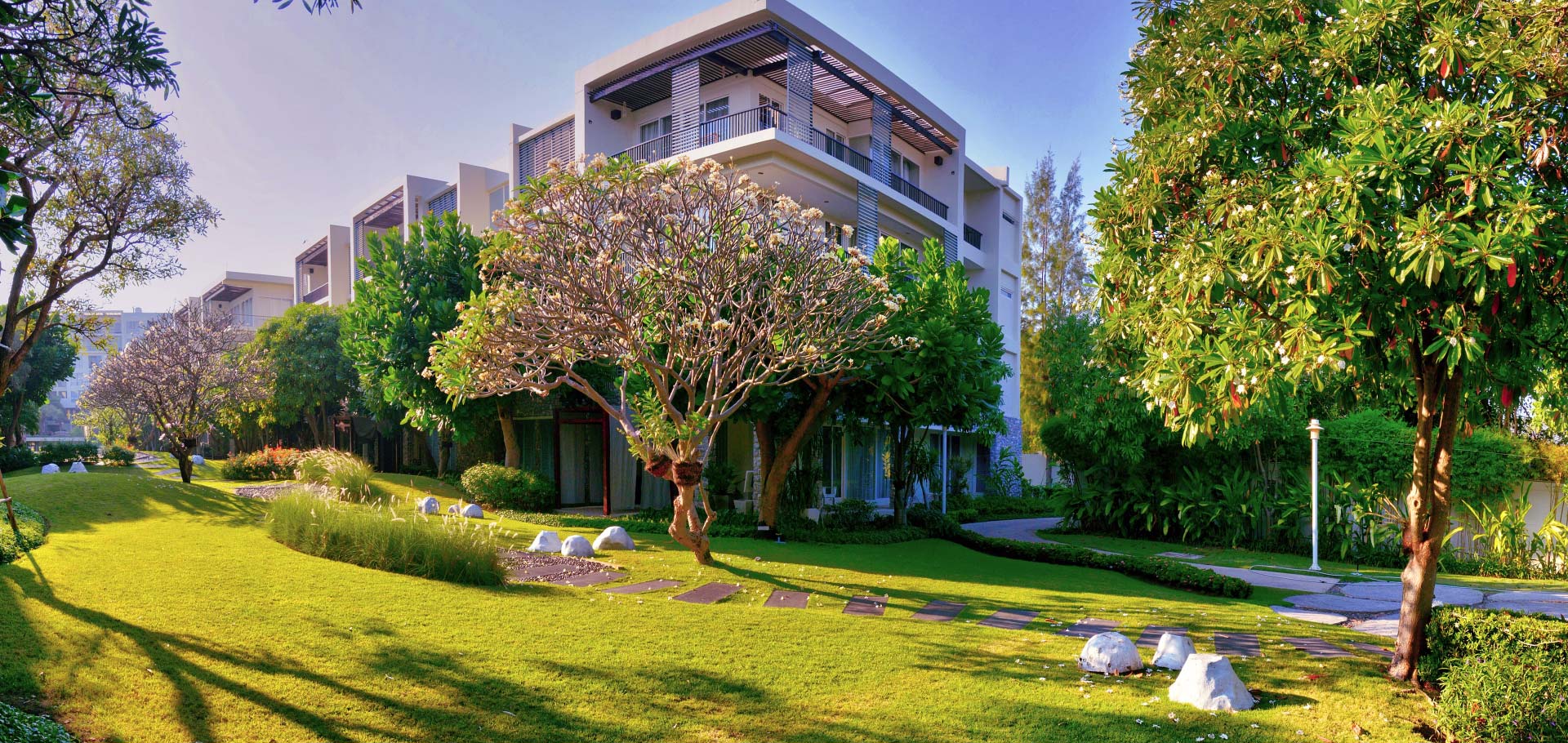 bg-revslider-home2-02