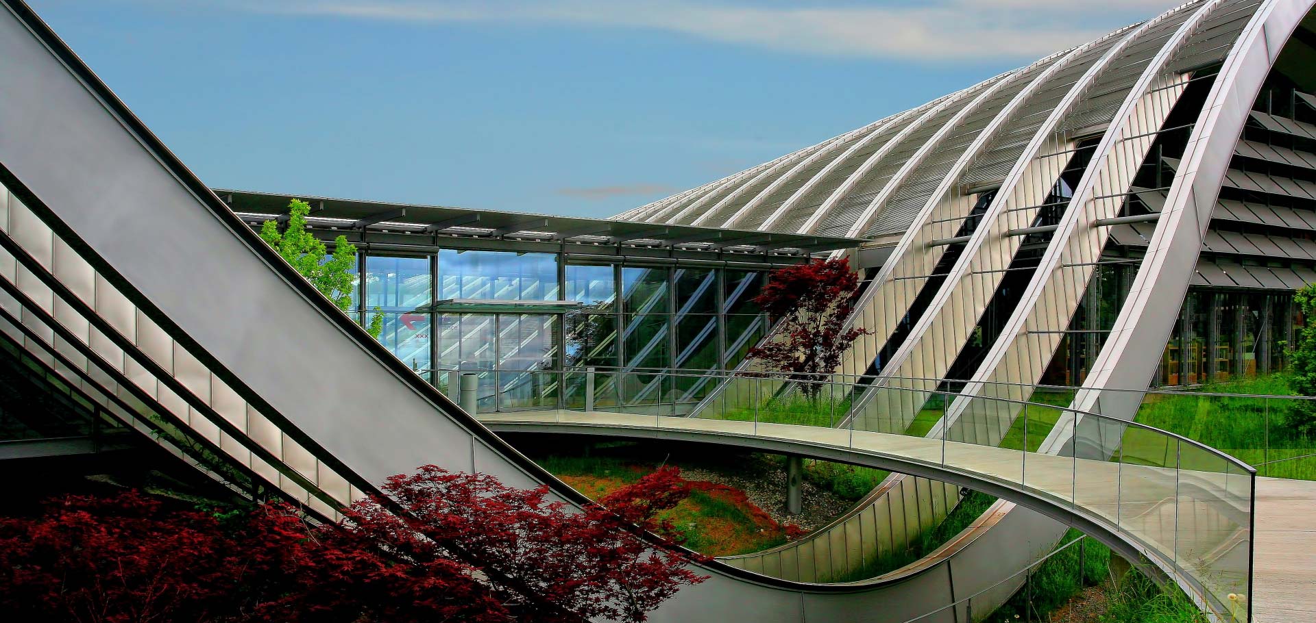 bg-revslider-home2-03